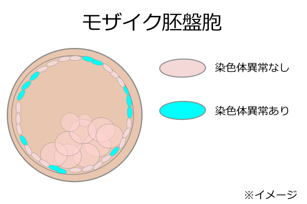 モザイク胚盤胞