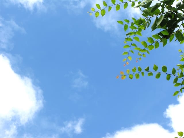 a06b0f11f1612210446dbc24aacafc61_s