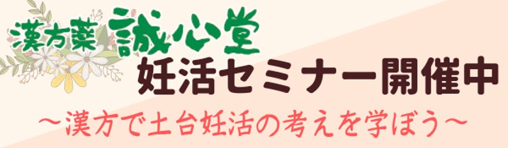 誠心堂バナー